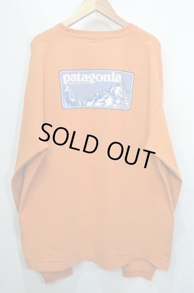 画像1: 90's Patagonia オーガニックコットン L/S Tシャツ (1)