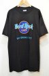 画像1: 90's Hard Rock CAFE ロゴプリントTシャツ "DEADSTOCK" (1)