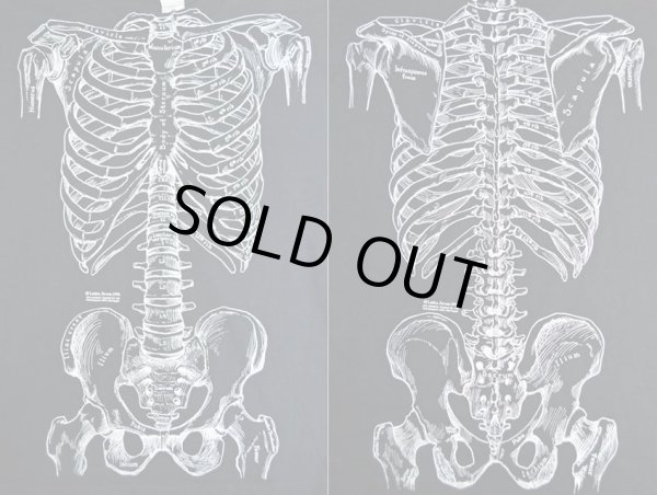 画像3: 90's Leslie Arwin 人体骨格 プリントTシャツ “MADE IN USA” (3)