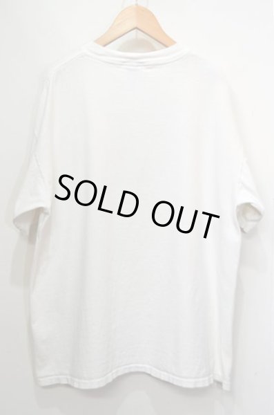 画像2: 90's ALASKA DENALI NATIONAL PARK AND PRESERVE スーベニアTシャツ“MADE IN USA” (2)