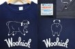 画像3: 80's Champion × Woolrich 両面プリントTシャツ (3)