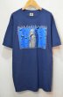 画像1: 2000's BLUE FLOYD ツアーTシャツ (1)