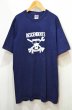 画像1: 90's-00's DESCENDENTS バンドTシャツ “EVERYTHING SUX” (1)