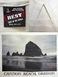 画像3: 90's CANNON BEACH, OREGON フォトプリントTシャツ “MADE IN USA” (3)