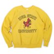 画像1: 80's Healthknit カレッジプリント スウェット "IOWA STATE UNIVERSITY / MADE IN USA" (1)