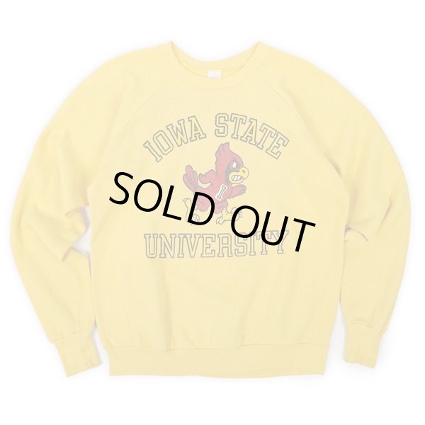 画像1: 80's Healthknit カレッジプリント スウェット "IOWA STATE UNIVERSITY / MADE IN USA" (1)