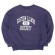 画像1: 90's RUSSELL カレッジプリント スウェット "MADE IN USA / HIGH COTTON" (1)