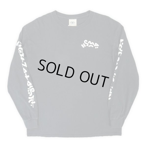 画像1: 90's SANTA MONICA AIRLINES L/S プリントTシャツ “MADE IN USA” (1)