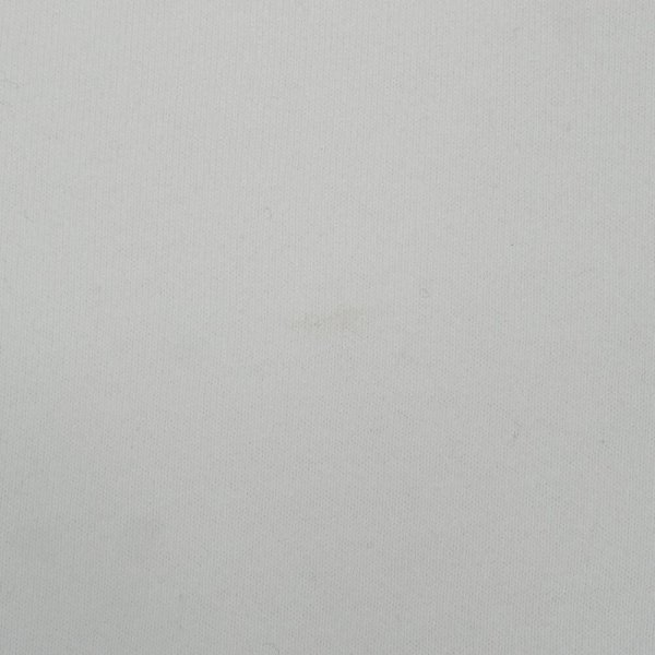 画像4: 90's RUSSELL 前V ブランクスウェット "MADE IN USA / WHITE" (4)