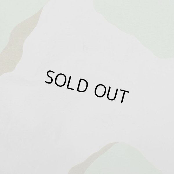 画像5: 00's US.ARMY Special Forces ECWCS 3C デザートカモ柄 GORE-TEX PARKA "DEADSTOCK / LARGE-SHORT" (5)