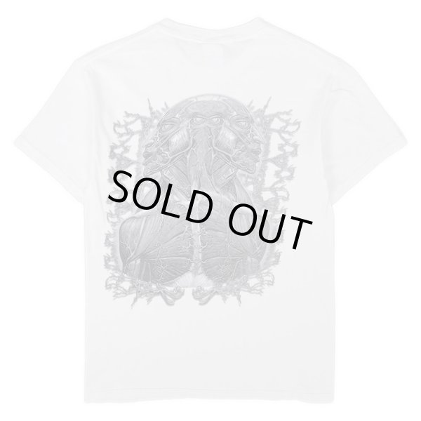 画像2: Early 00's TOOL バンドTシャツ (2)