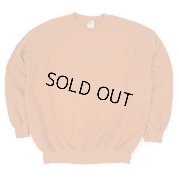 画像1: 00's GILDAN ブランクスウエット (1)