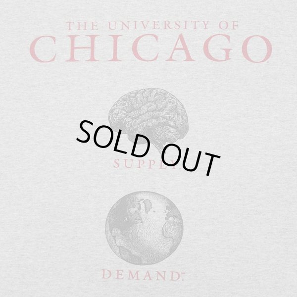 画像2: 00's UNIVERSITY OF CHICAGO プリントTシャツ (2)