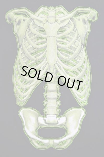 画像3: 00's FRUIT OF THE LOOM だまし絵 プリントTシャツ “人体模型” (3)