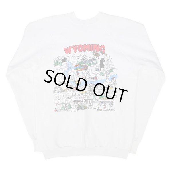 画像2: 90's FRUIT OF THE ROOM 両面プリント スーベニア スウェット "MADE IN USA / DEADSTOCK" (2)