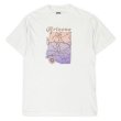 画像1: Late 90's Arizona スーベニアTシャツ (1)