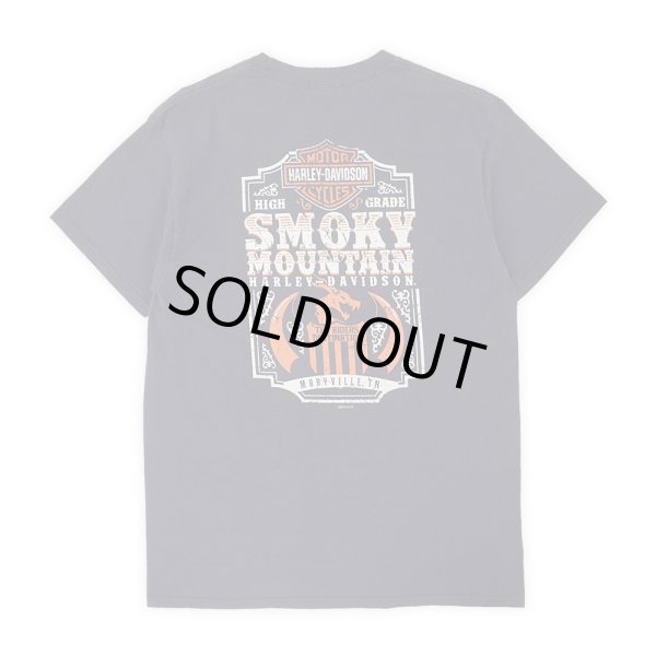 画像1: 00's HARLEY-DAVIDSON 両面プリント ポケットTシャツ (1)
