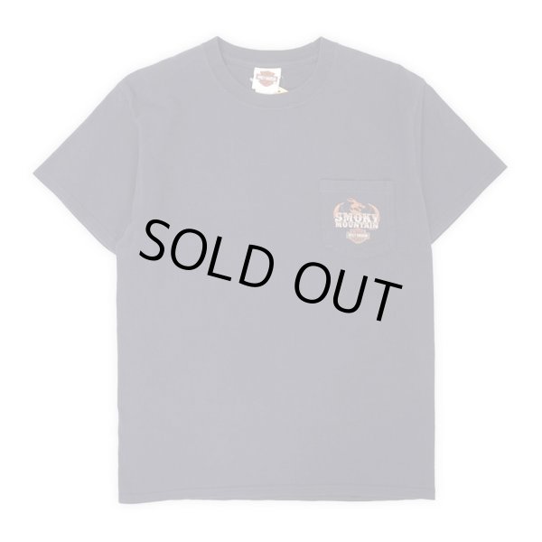 画像2: 00's HARLEY-DAVIDSON 両面プリント ポケットTシャツ (2)