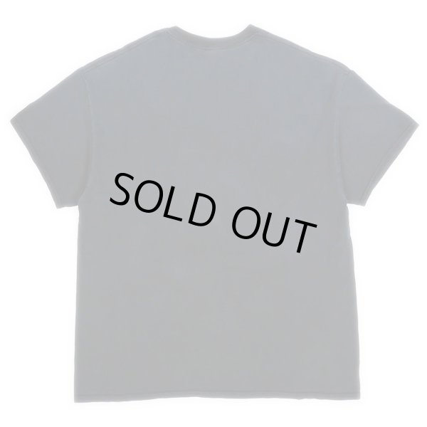 画像2: 00's RIPLEY'S AQUARIUM OF THE SMOKIES スーベニアTシャツ (2)