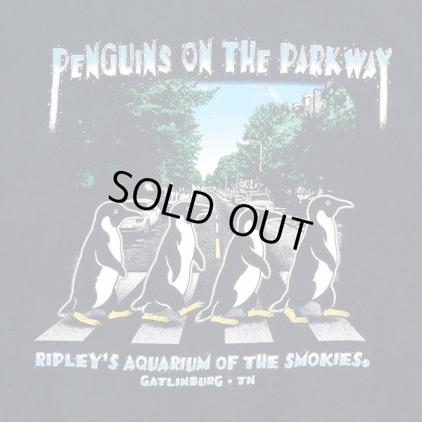 画像4: 00's RIPLEY'S AQUARIUM OF THE SMOKIES スーベニアTシャツ (4)