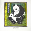 画像2: 90-00's SAN DIEGO スーベニアTシャツ (2)