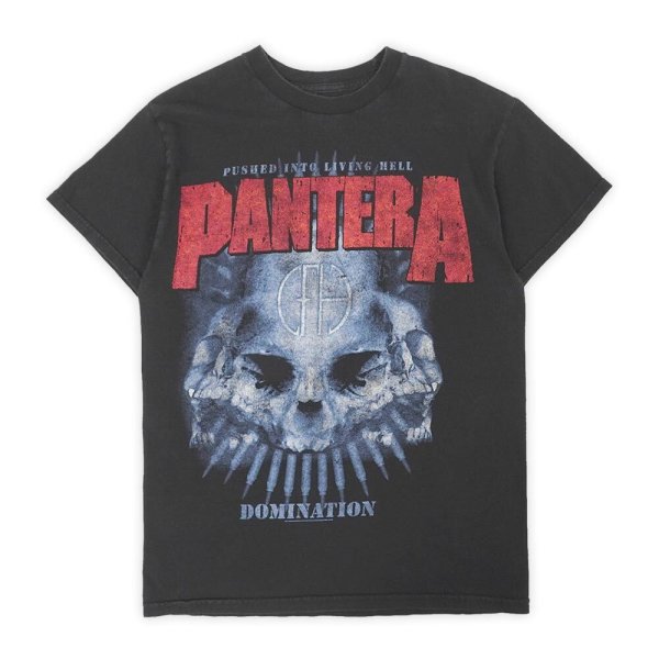 画像1: 00's PANTERA バンドTシャツ (1)