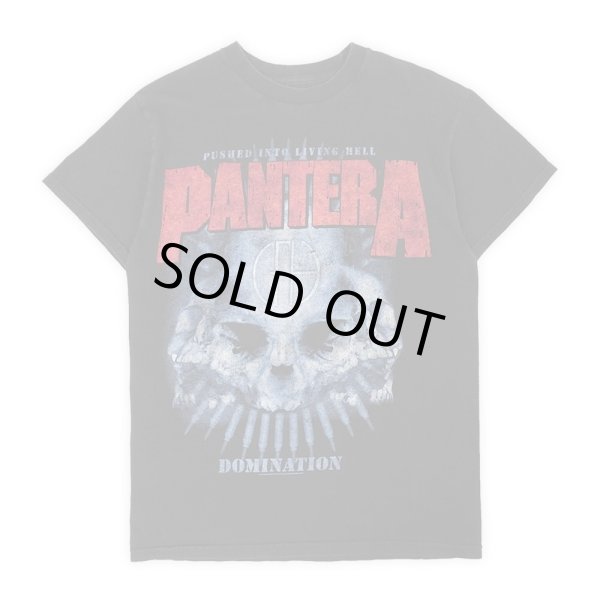 画像1: 00's PANTERA バンドTシャツ (1)
