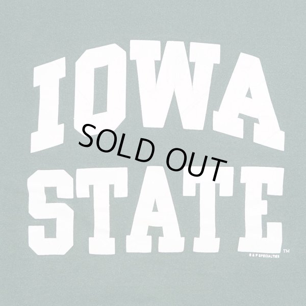 画像3: 90's Fruit of the Loom スウェットシャツ "MADE IN USA" (3)