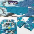 画像3: FA17 Patagonia ライトウェイト シンチラスナップT (3)