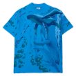 画像1: 90's Harlequin Nature Graphics オールオーバープリントTシャツ "MADE IN USA" (1)