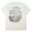 画像2: 90's Grateful Dead バンドTシャツ "LIQUID BLUE body / MADE IN USA" (2)