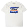 画像1: 90's Trident × MTV 両面プリントTシャツ "DEADSTOCK / MADE IN USA / All Sport body" (1)