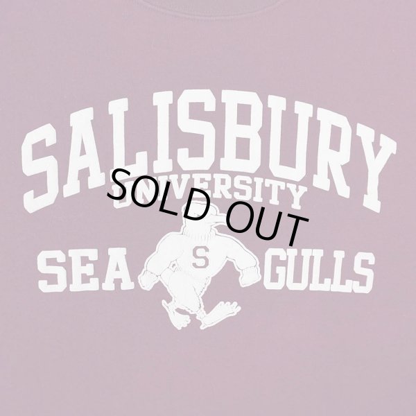 画像3: 90's MV SPORT カレッジロゴ スウェット (3)