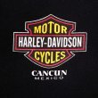 画像3: 90's HARLEY-DAVIDSON 両面プリントTシャツ (3)