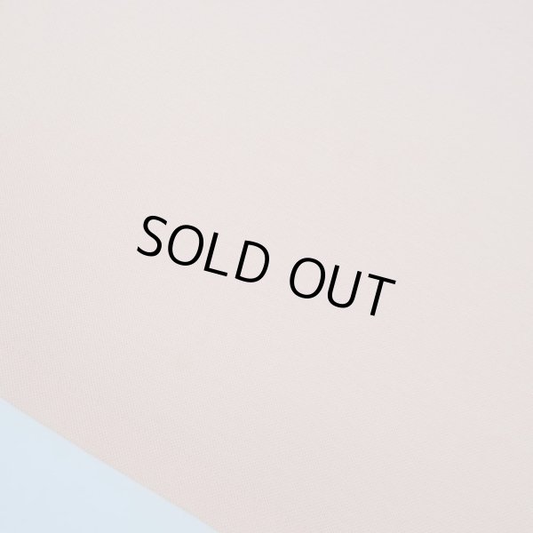 画像3: 80's Sears Braggin Dragon ポロシャツ (3)