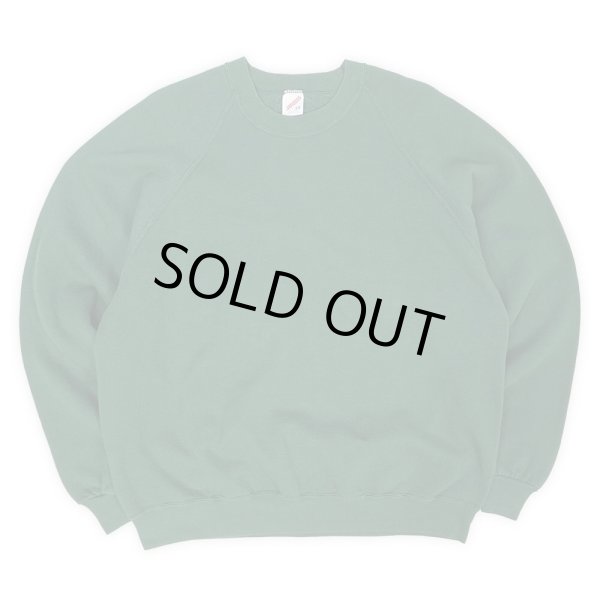 画像1: 80-90's JERZEES ブランクスウェット "MADE IN USA" (1)