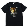 画像1: 90's Rainforest Cafe スーベニアTシャツ (1)