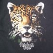 画像2: 90's Rainforest Cafe スーベニアTシャツ (2)