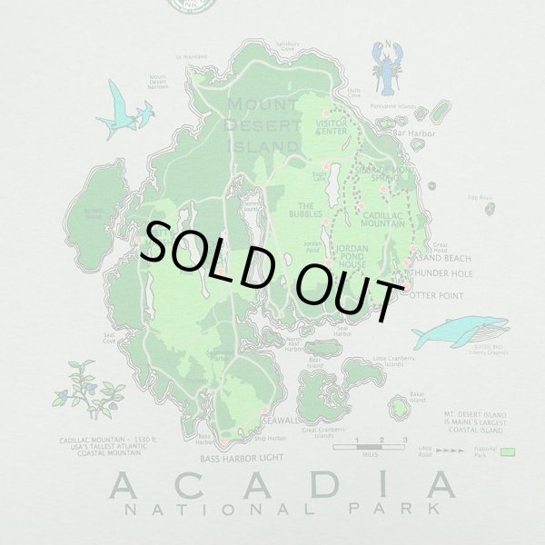 画像2: 00's LIBERTY GRAPHICS プリントTシャツ "ACADIA NATIONAL PARK" (2)
