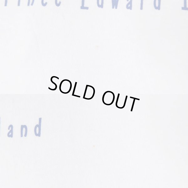 画像4: 90-00's COWS CREAMERY 両面プリントTシャツ "DEADSTOCK" (4)