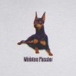 画像3: 90-00's ドッグプリントTシャツ “Miniature Pinscher” (3)