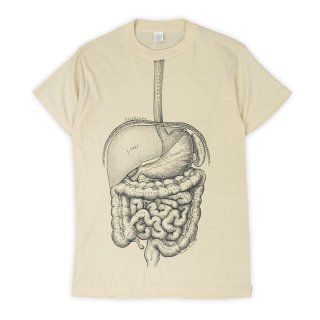 90's Leslie Arwin 人体骨格 プリントTシャツ “MADE IN USA