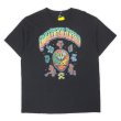 画像1: 00's Grateful Dead バンドTシャツ (1)