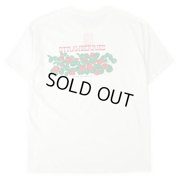 画像3: 00's LIBERTY GRAPHICS × Frank Lloyd Wright テストプリントTシャツ "DEADSTOCK" #23-24 (3)