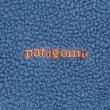 画像4: 00's Patagonia シンチラフリースベスト (4)