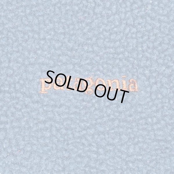 画像4: 00's Patagonia シンチラフリースベスト (4)