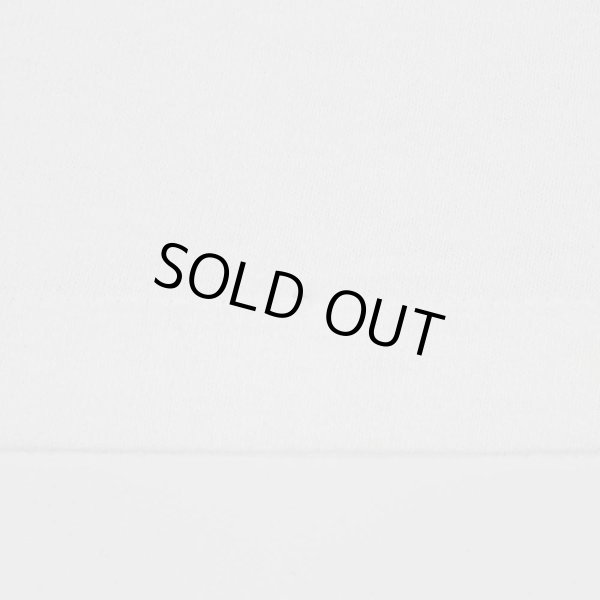 画像6: 90's Beastie Boys バンドTシャツ "CHECK YOUR HEAD / MADE IN USA" (6)