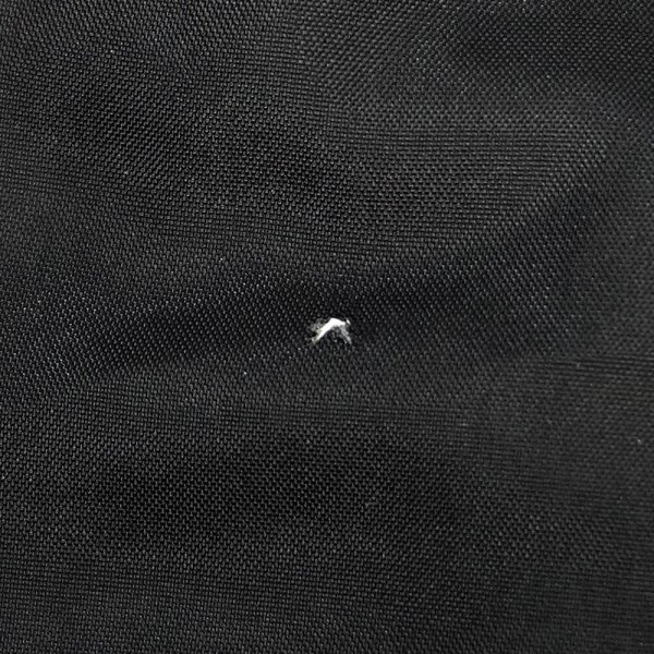 画像6: 00's Port Authority ナイロンコーチジャケット "BLACK" (6)