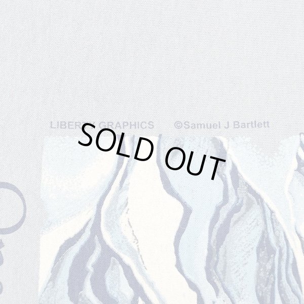 画像4: 00's LIBERTY GRAPHICS テストプリントTシャツ "DEADSTOCK" #23-27 (4)