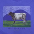 画像3: 90's LIBERTY GRAPHICS プリントTシャツ "DEADSTOCK / MADE IN USA / BLUE" (3)